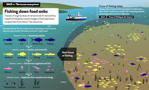 EyeOverFishing.org - Compare fisheries-1.jpg